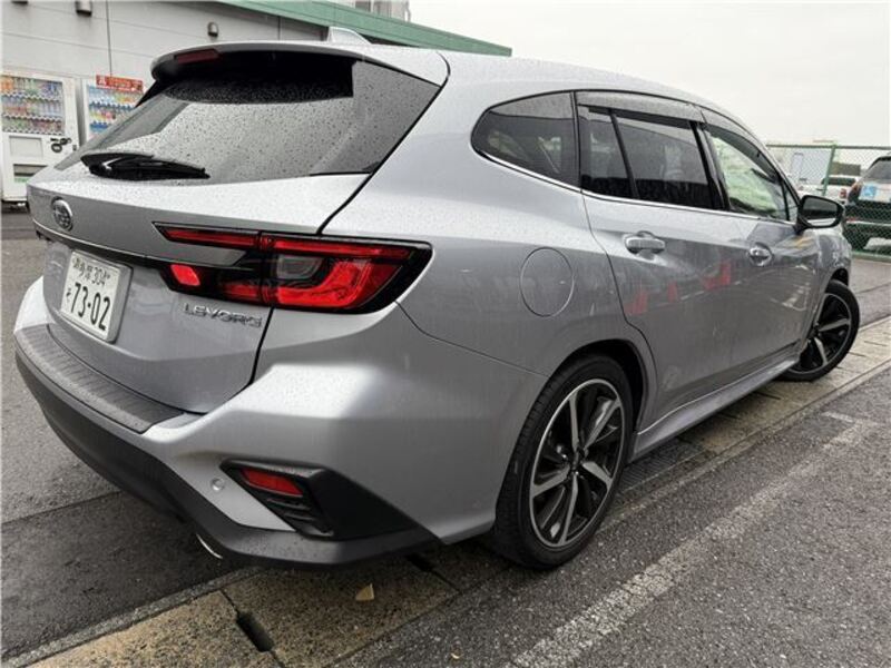 LEVORG