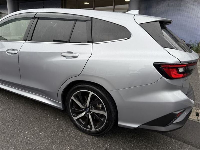 LEVORG