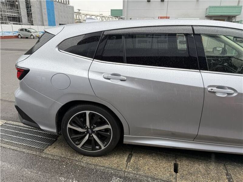 LEVORG