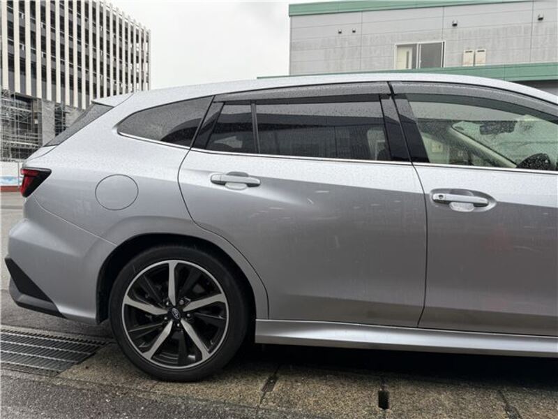 LEVORG