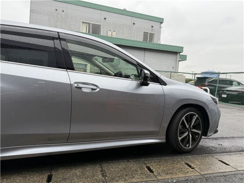 LEVORG