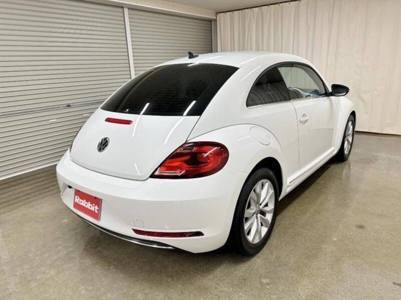THE BEETLE