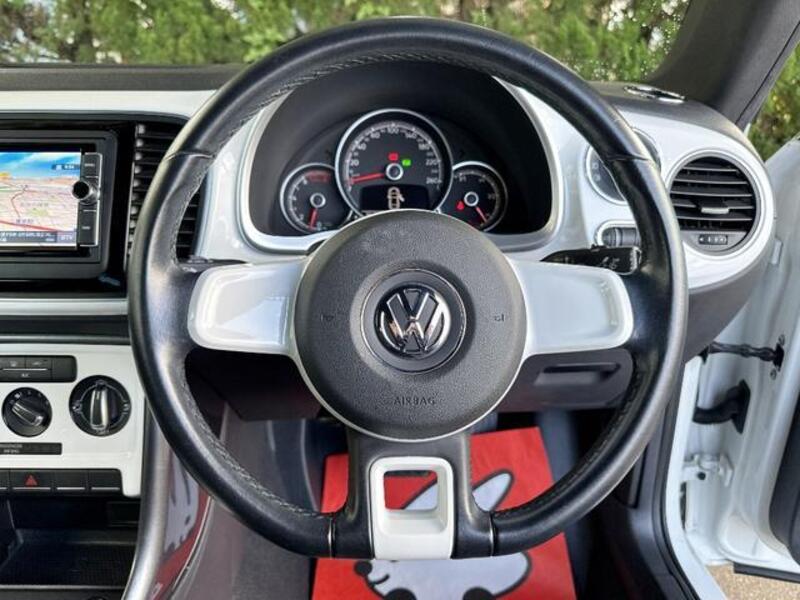 THE BEETLE