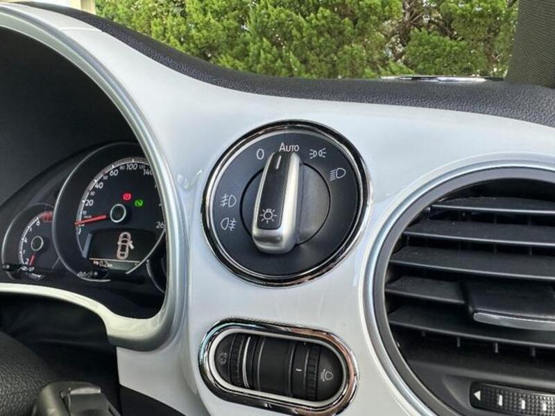 THE BEETLE