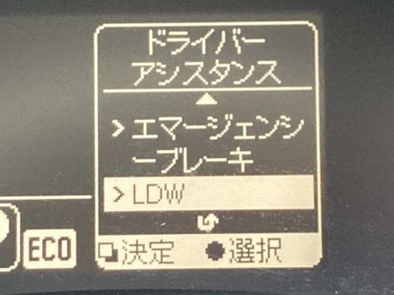 LEAF