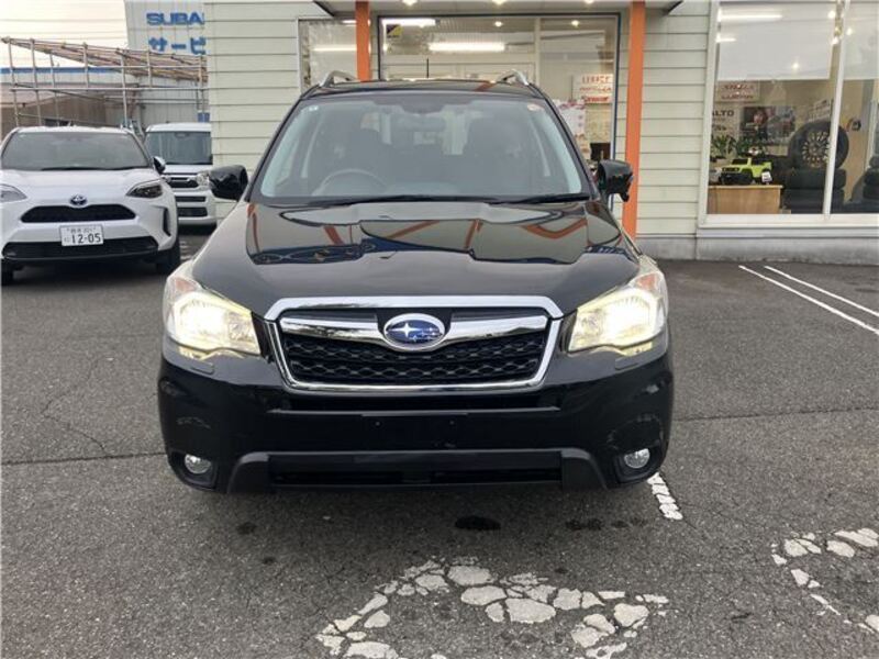 FORESTER