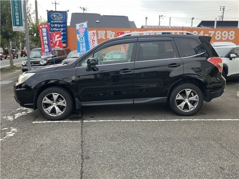 FORESTER