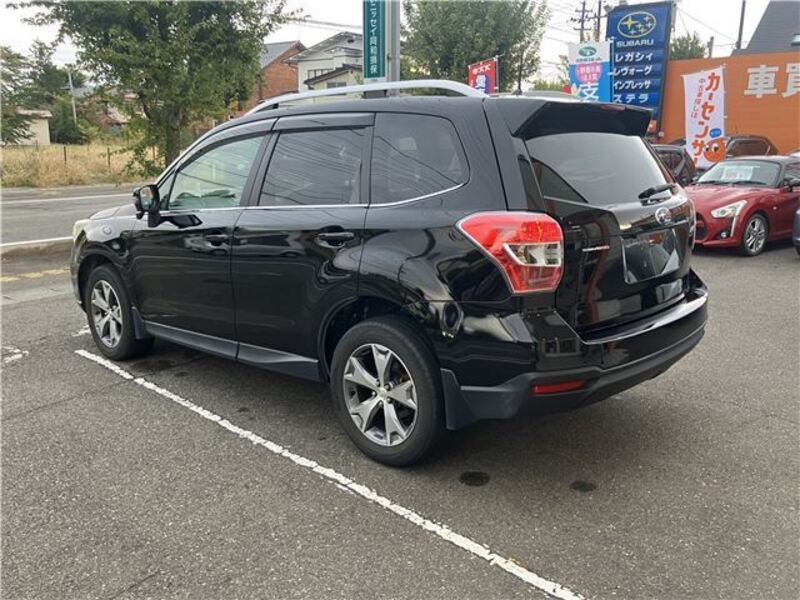 FORESTER