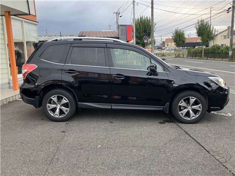 FORESTER