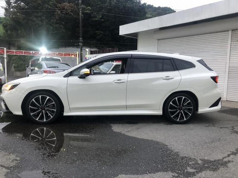 LEVORG