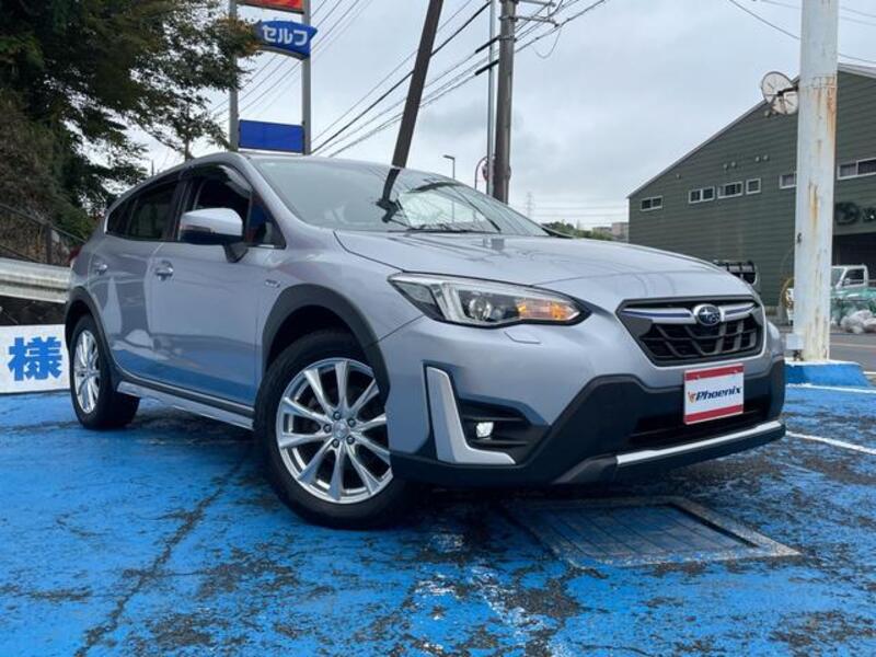 XV