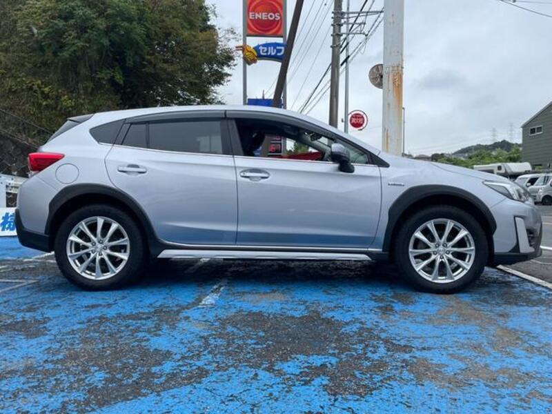 XV