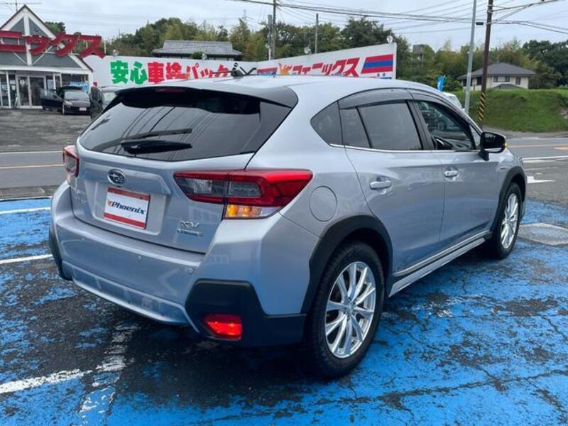 XV