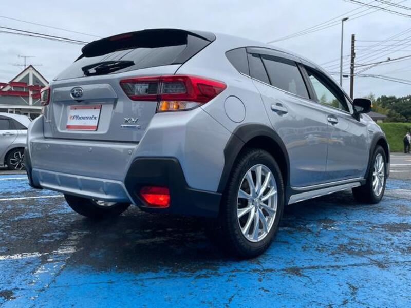 XV