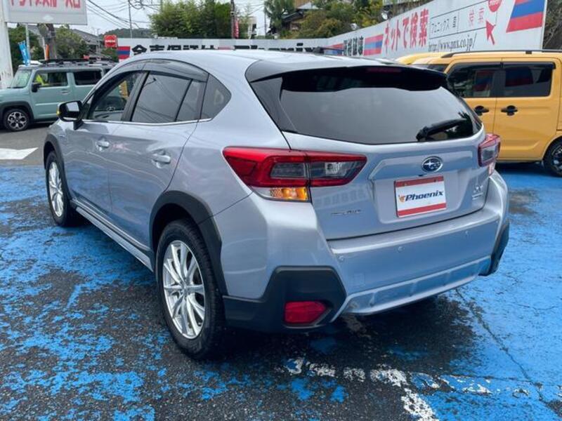 XV