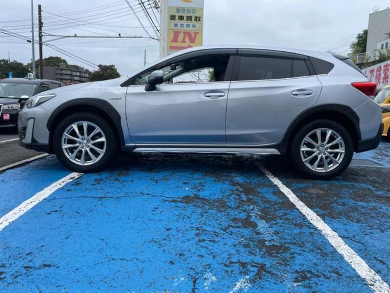 XV