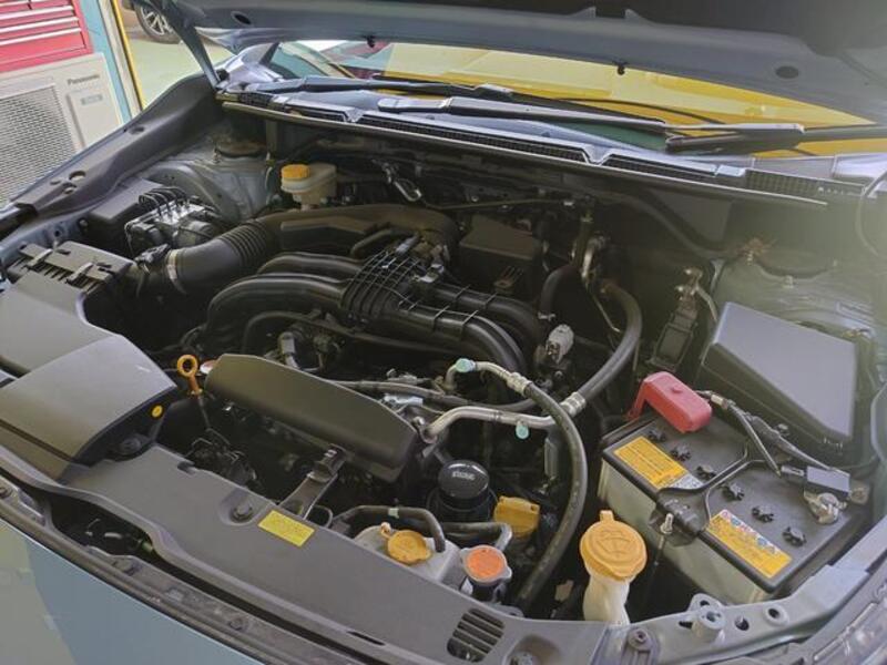 XV