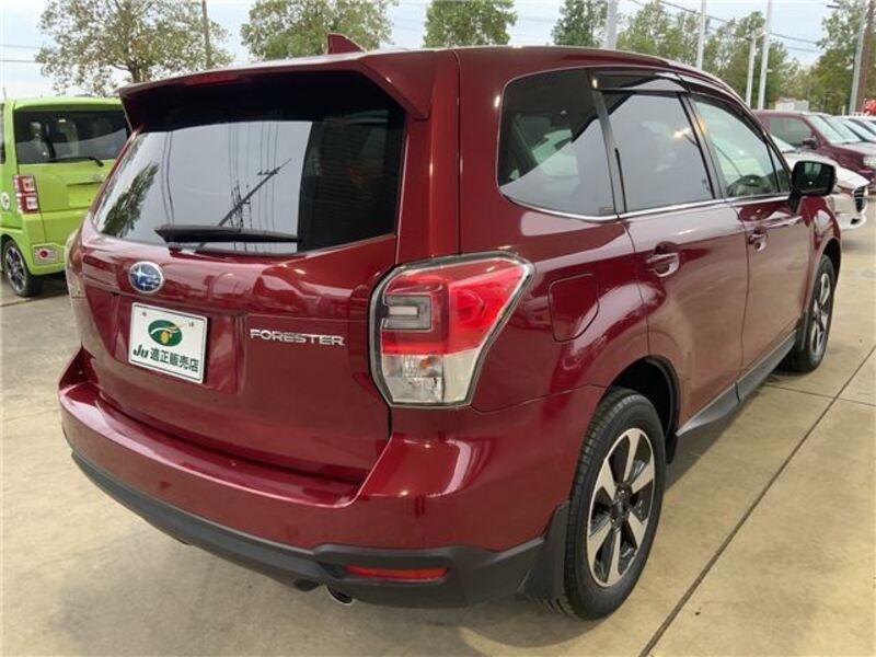FORESTER