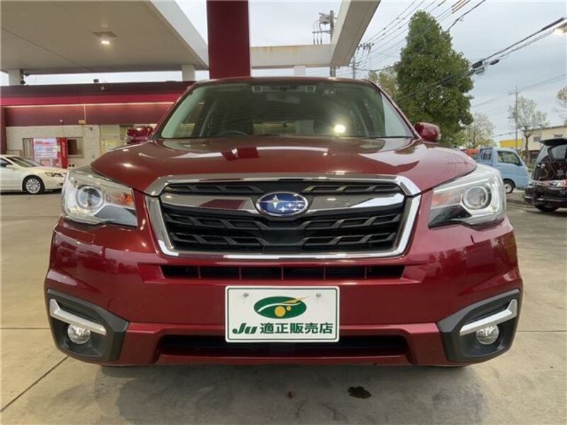 FORESTER