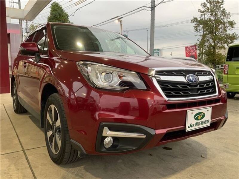 FORESTER