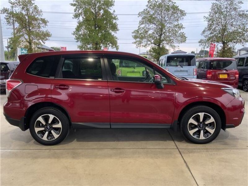 FORESTER