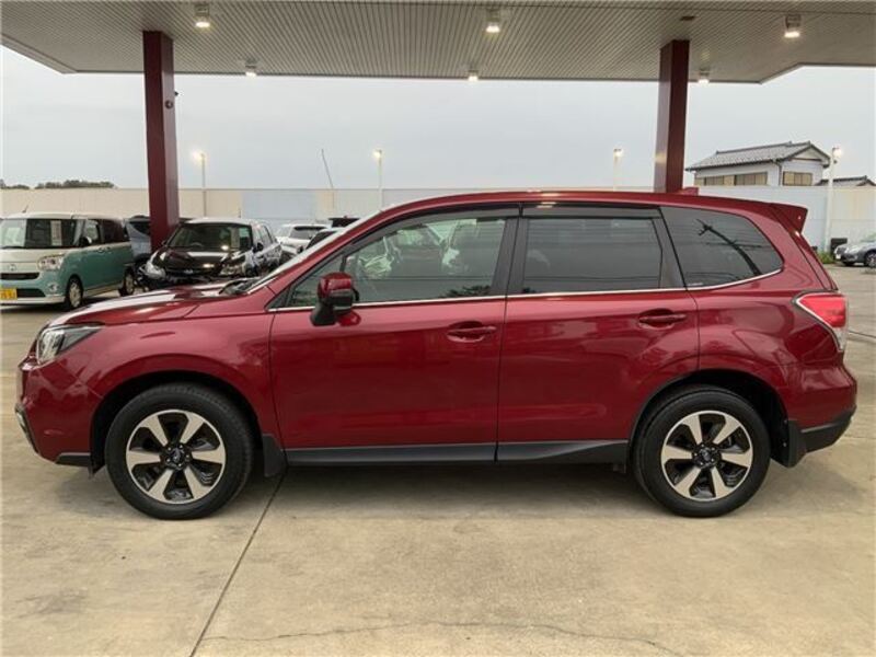 FORESTER