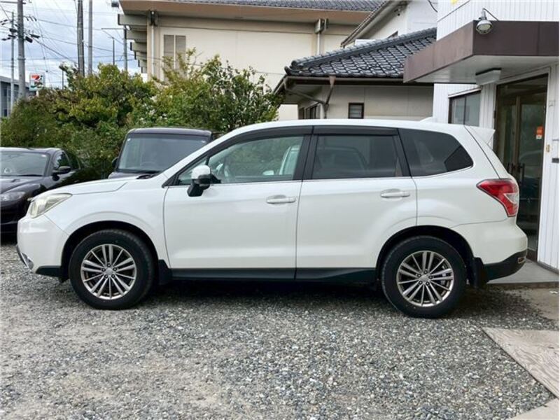 FORESTER