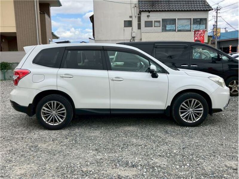 FORESTER