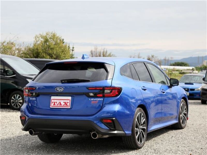 LEVORG