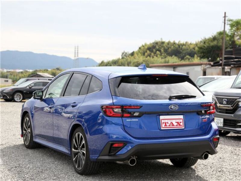 LEVORG