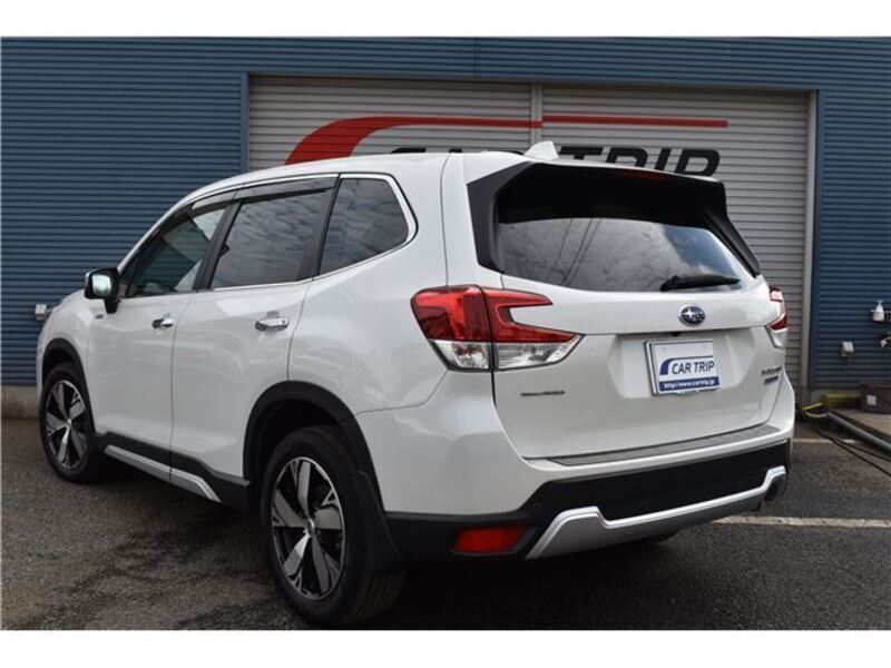 FORESTER