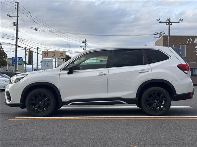 FORESTER