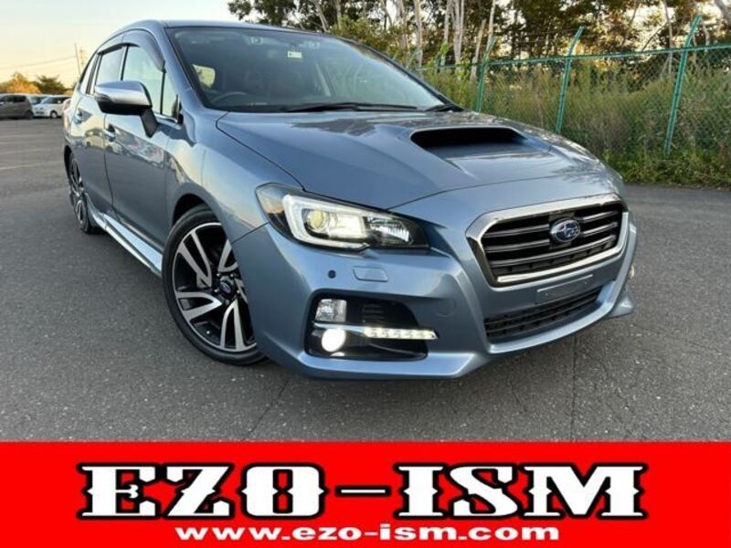 LEVORG-0