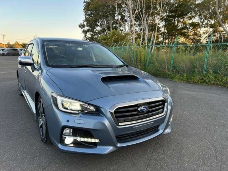 LEVORG