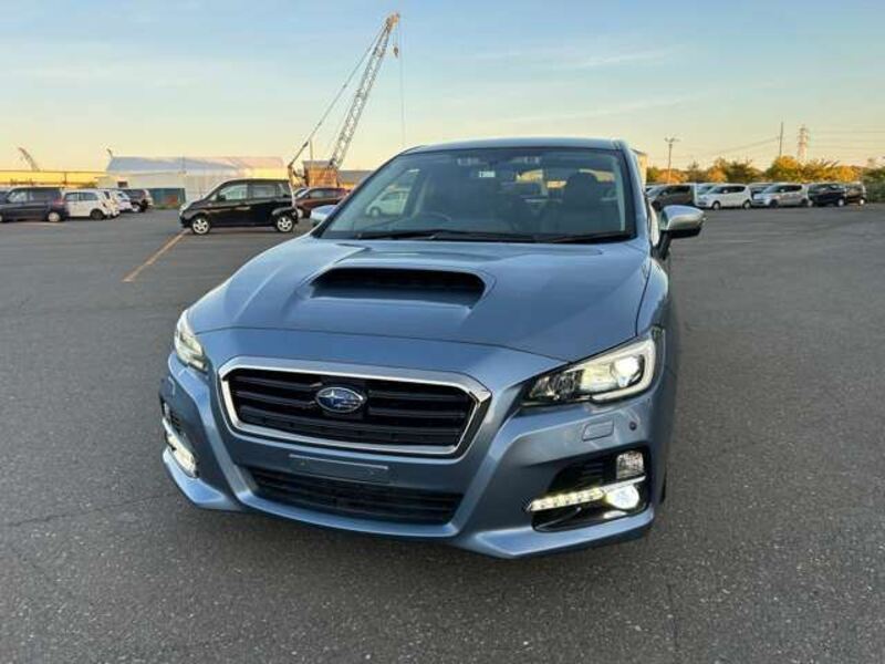 LEVORG