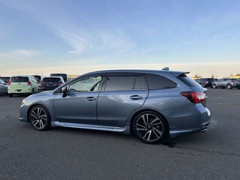 LEVORG