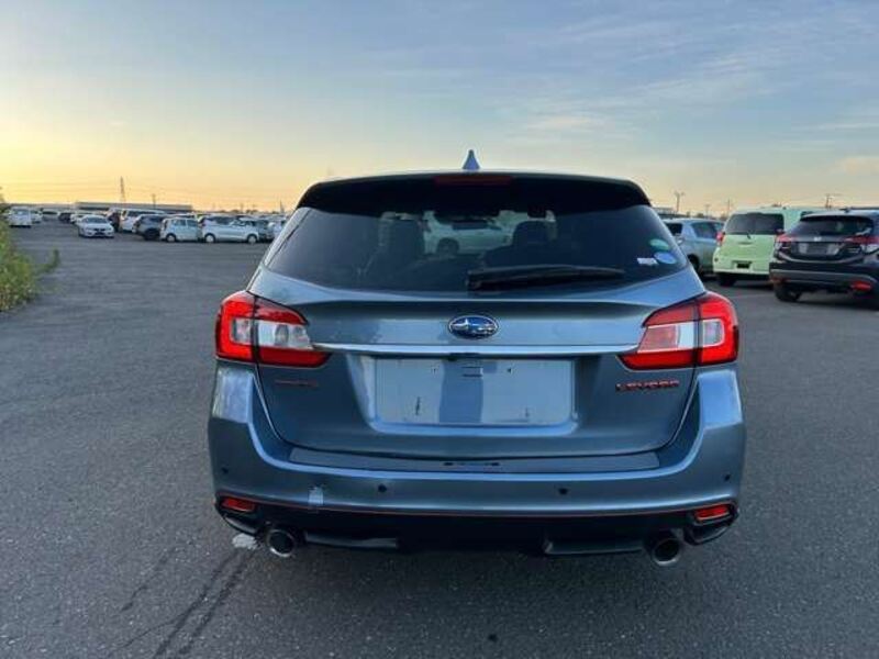 LEVORG