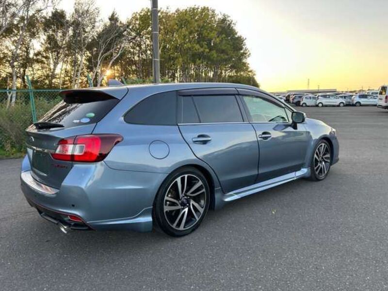 LEVORG