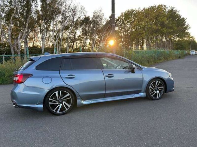LEVORG