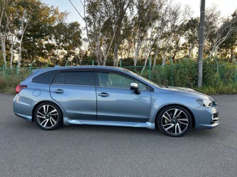 LEVORG