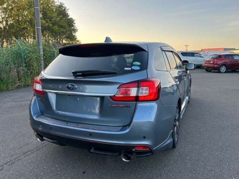 LEVORG