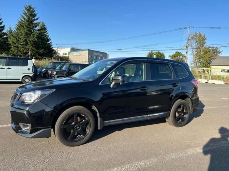 FORESTER