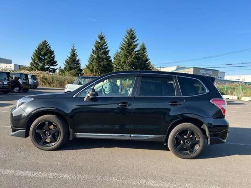 FORESTER