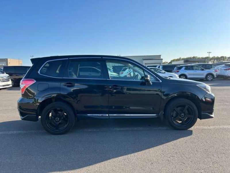 FORESTER