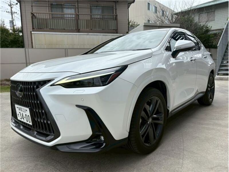 NX