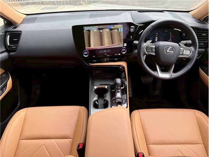 NX