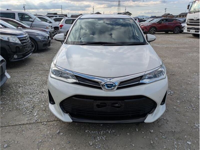 COROLLA FIELDER