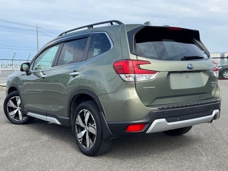 FORESTER