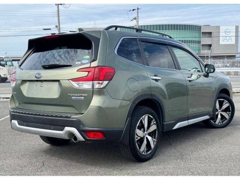 FORESTER