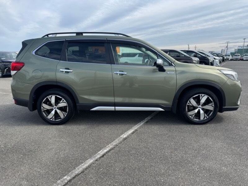 FORESTER